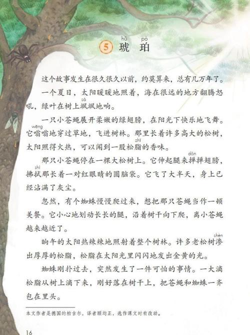 琥珀这课生字组词.