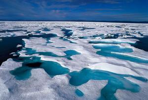 北极甲烷大爆发