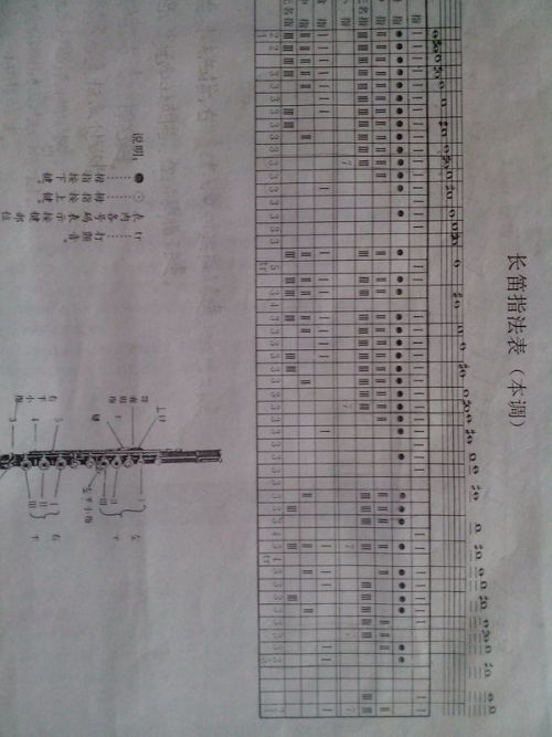 高音部分 长笛 指法表