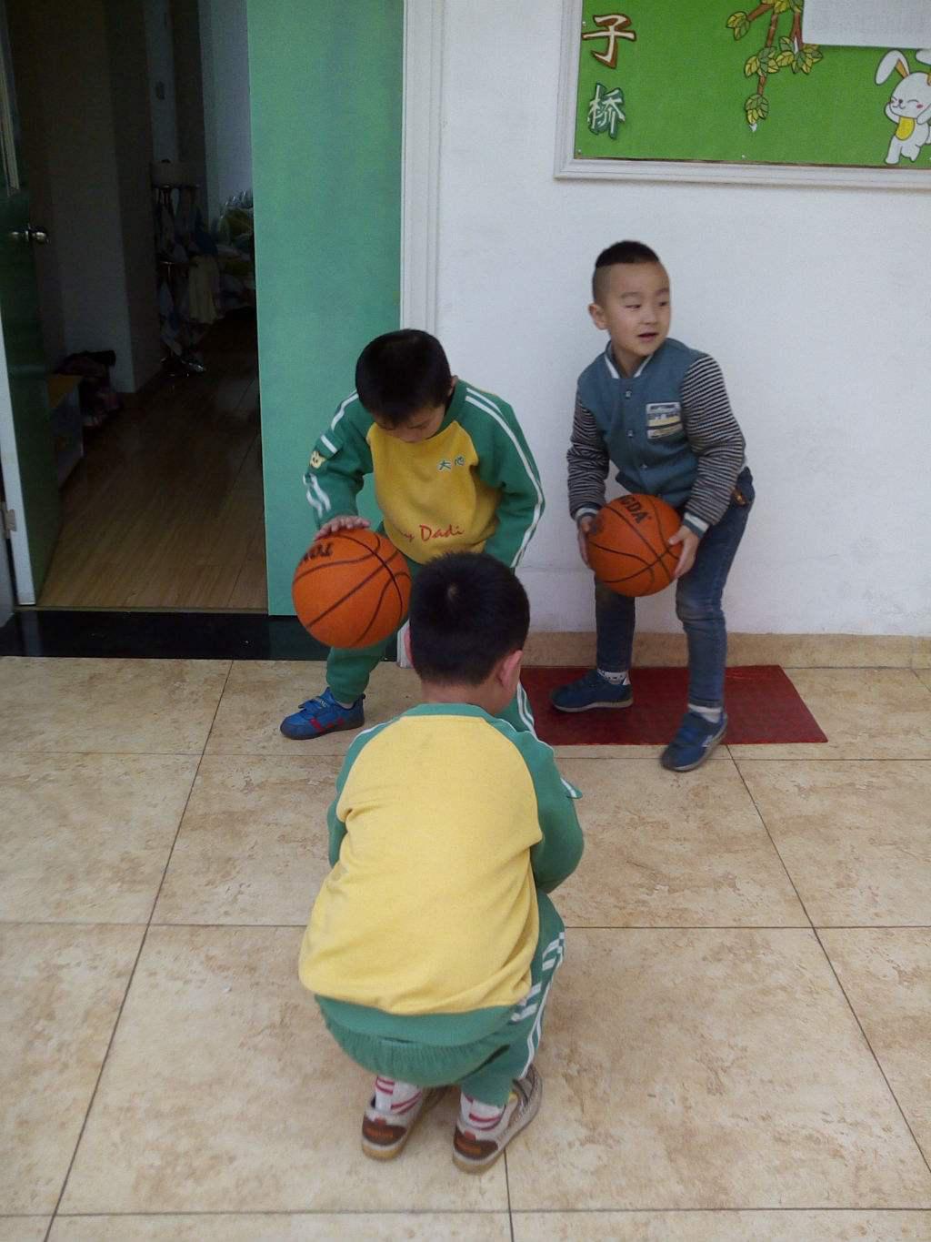 临沂兰山幼儿篮球教学机构有哪家「 山东篮艺体育供应」 - 8684网B2B资讯