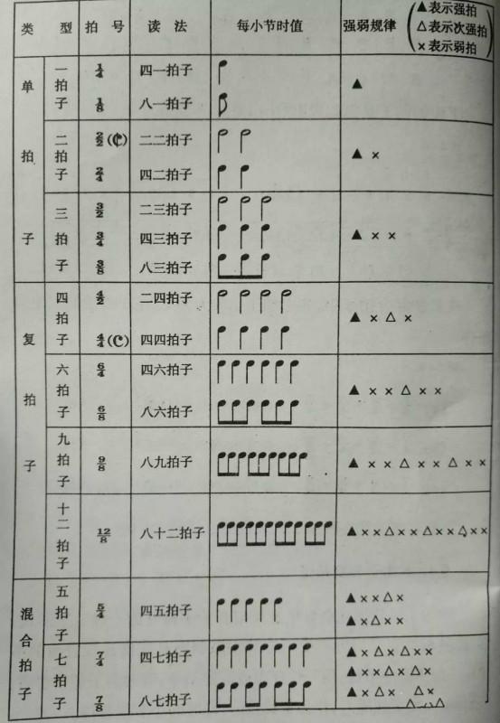 怎样区分四四拍和四二拍