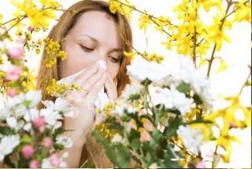 花粉症 对植物花粉过敏所引起的疾病 搜狗百科