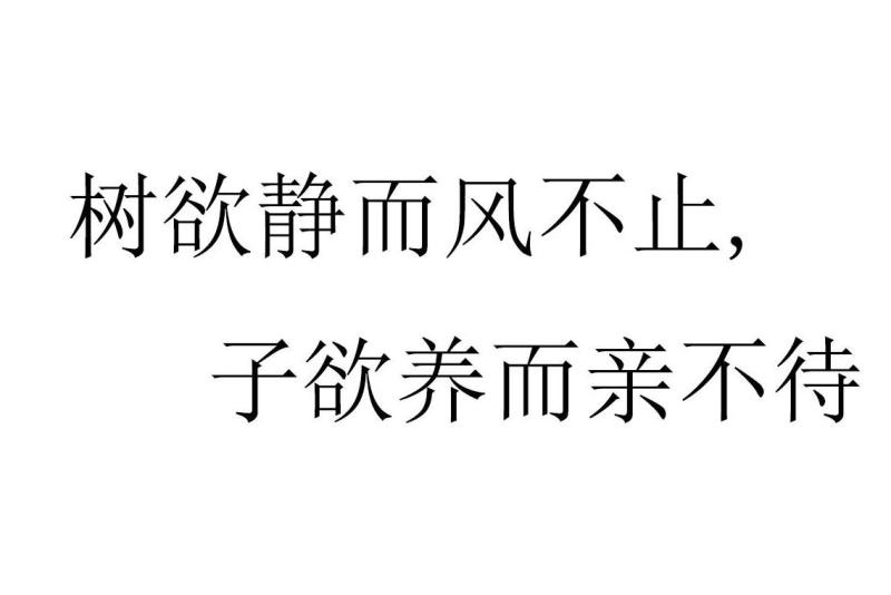 树欲静而风不止,子欲养而亲不待