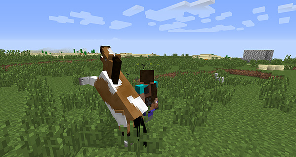 骑马仗剑走天涯我的世界正确的骑马技巧 网络游戏 游戏